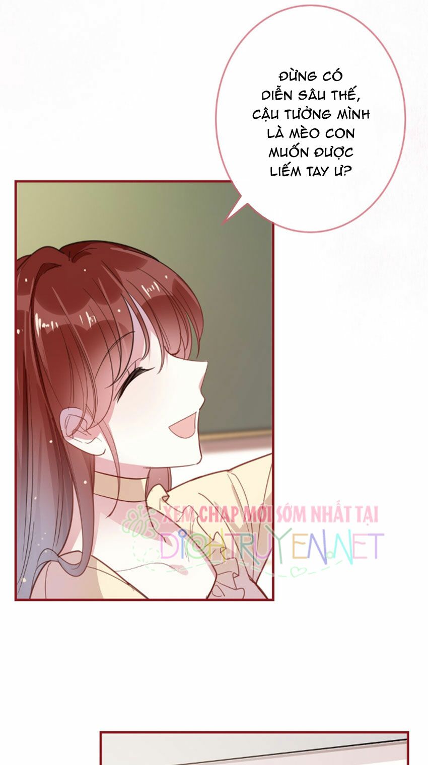 Em là bạc hà mèo của tôi: Chapter 28