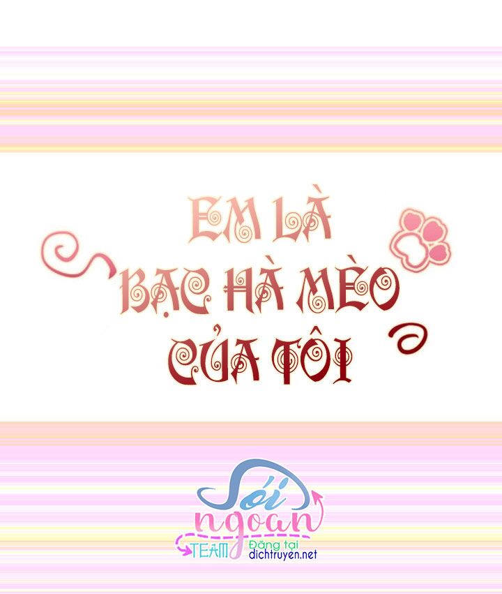Em là bạc hà mèo của tôi: Chapter 29