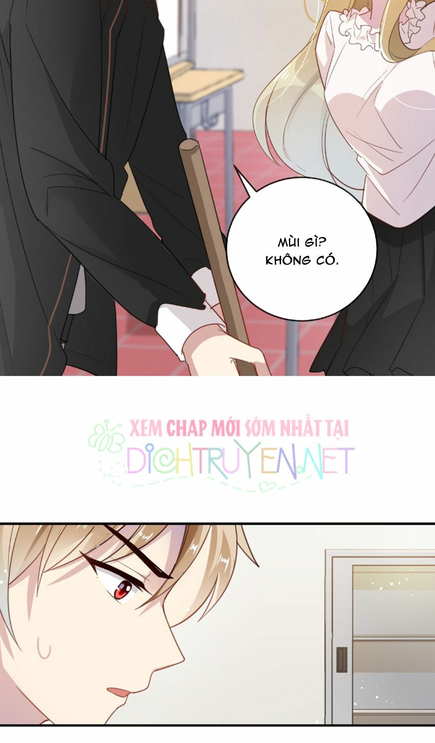 Em là bạc hà mèo của tôi: Chapter 29