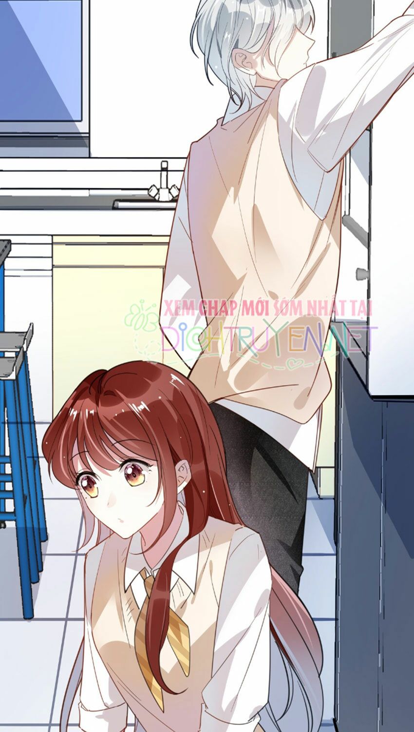 Em là bạc hà mèo của tôi: Chapter 29