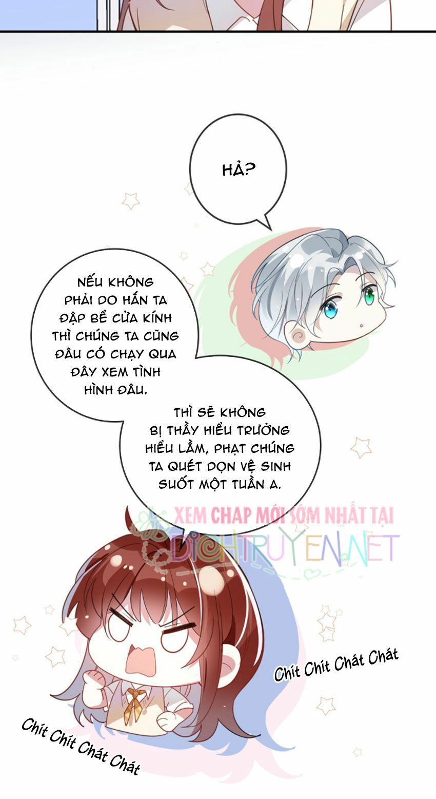 Em là bạc hà mèo của tôi: Chapter 29