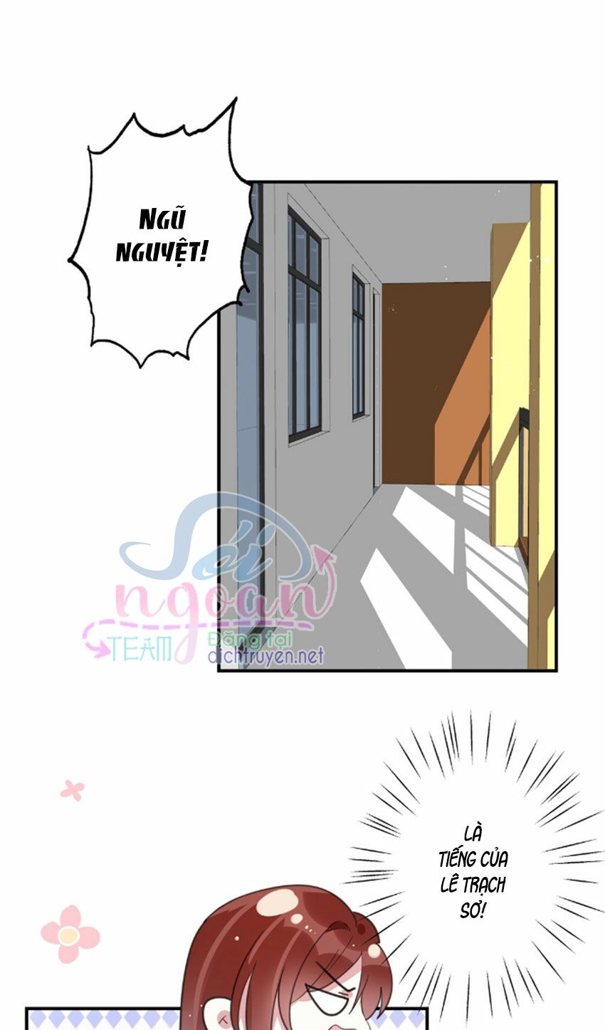 Em là bạc hà mèo của tôi: Chapter 29