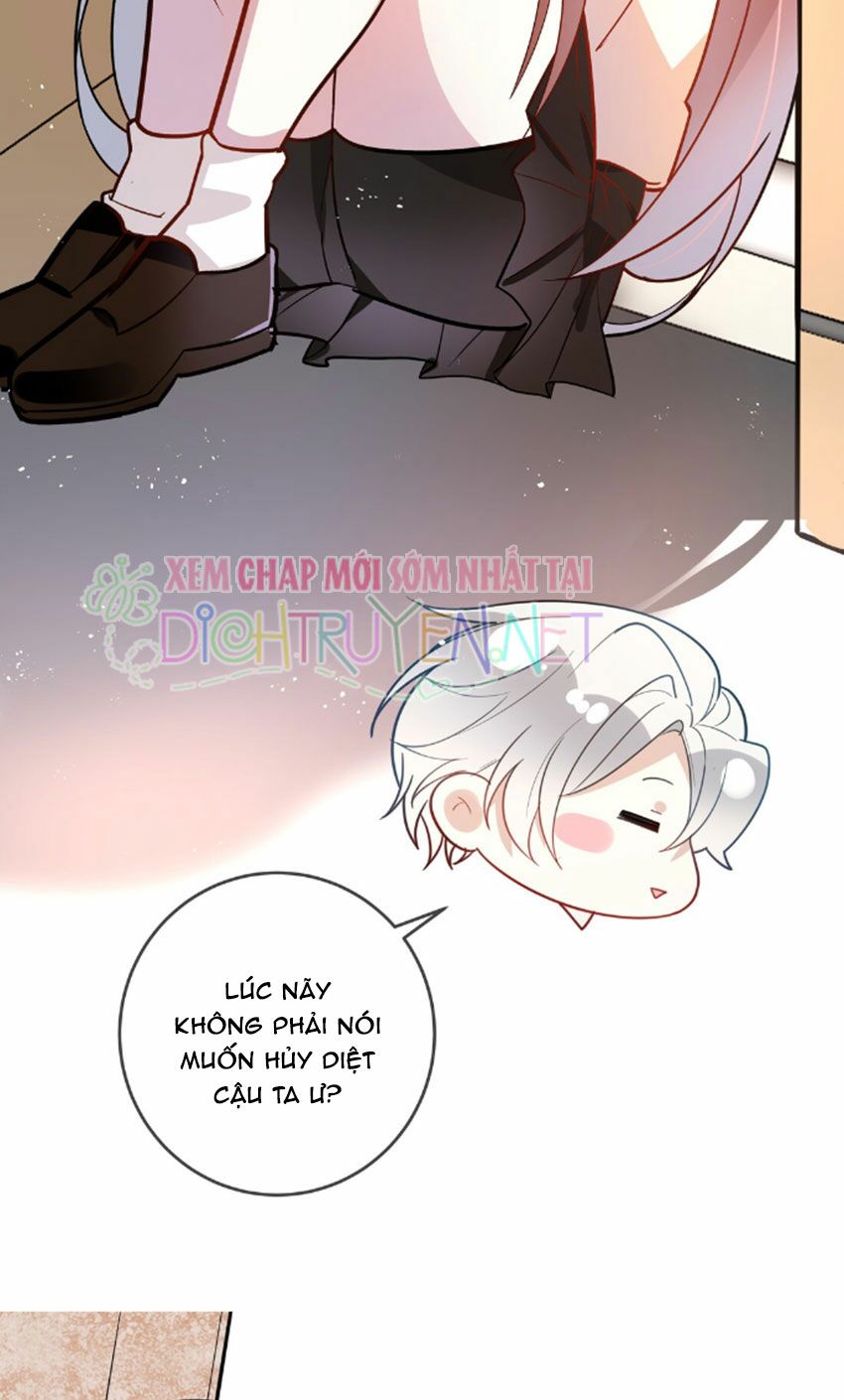 Em là bạc hà mèo của tôi: Chapter 29
