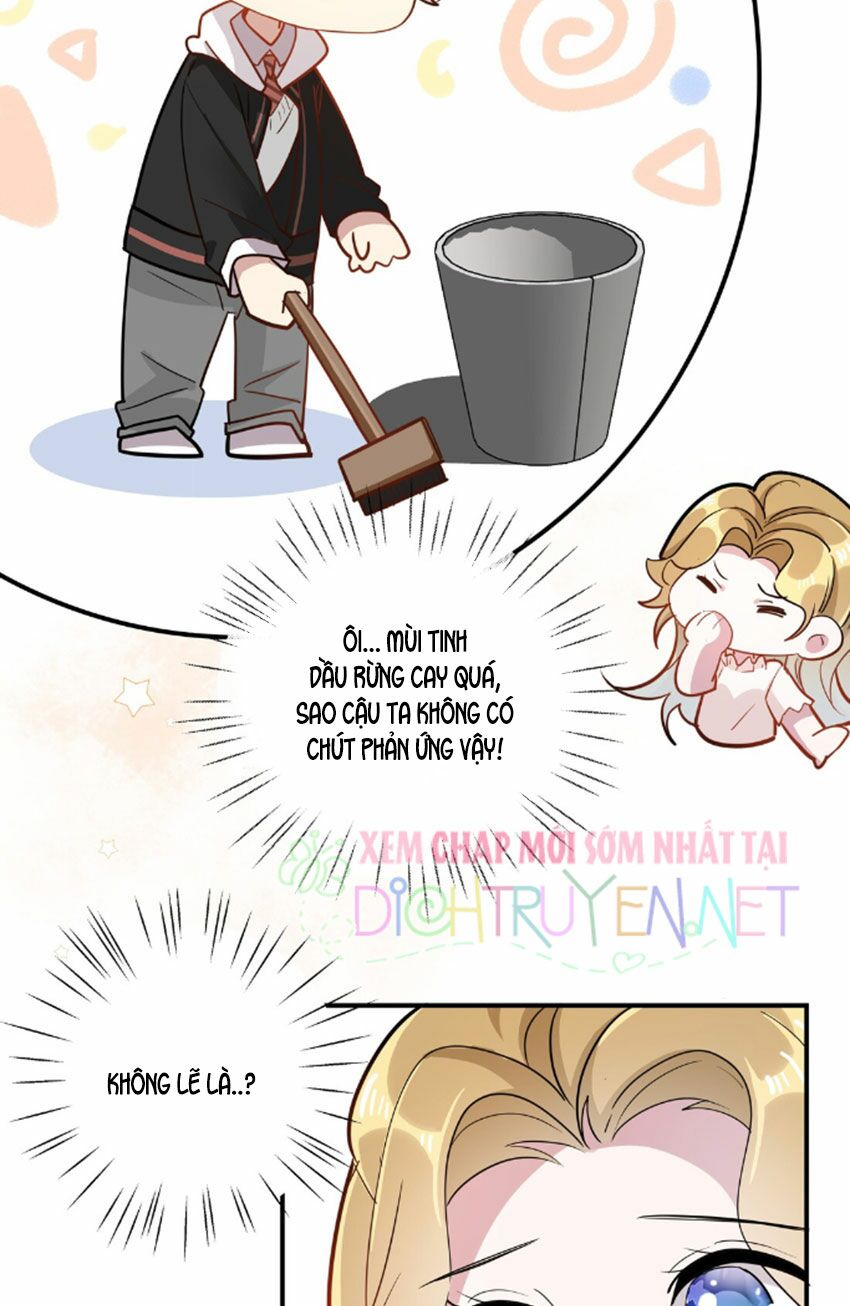 Em là bạc hà mèo của tôi: Chapter 29