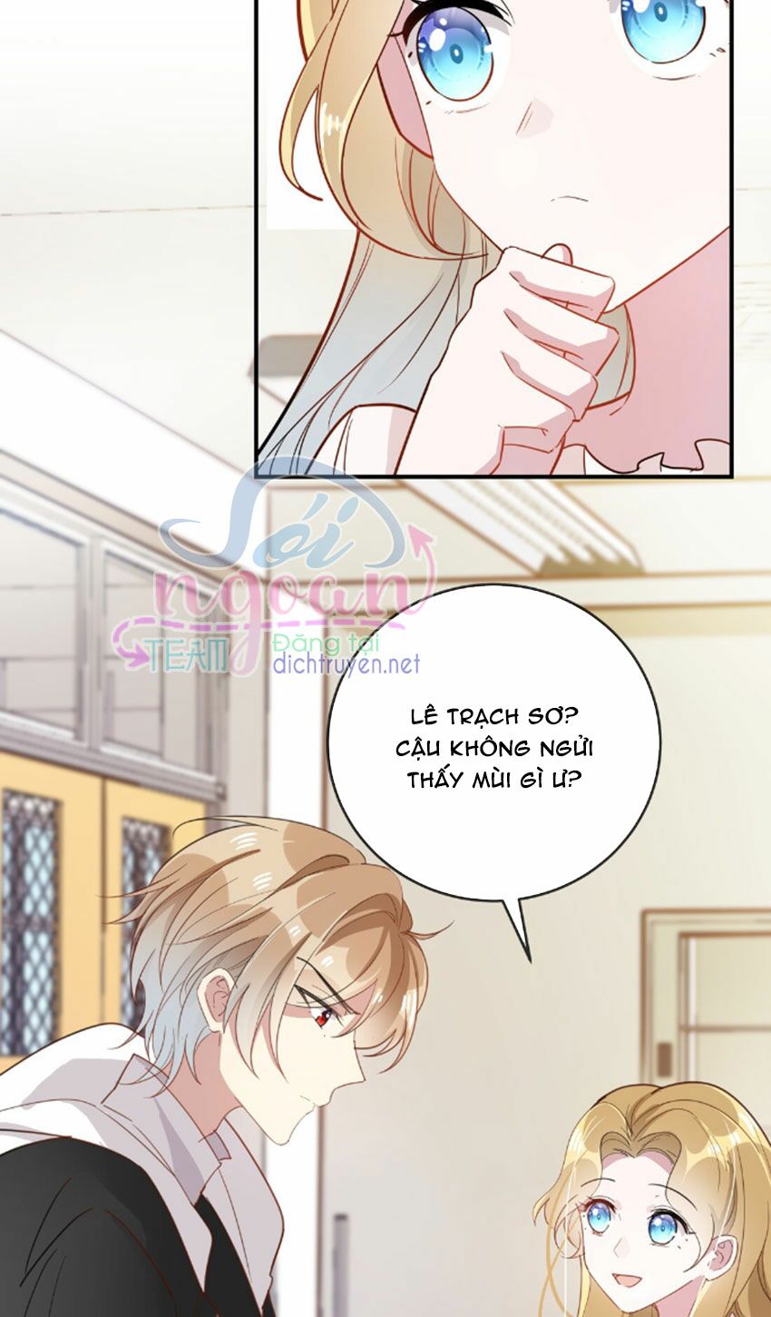 Em là bạc hà mèo của tôi: Chapter 29