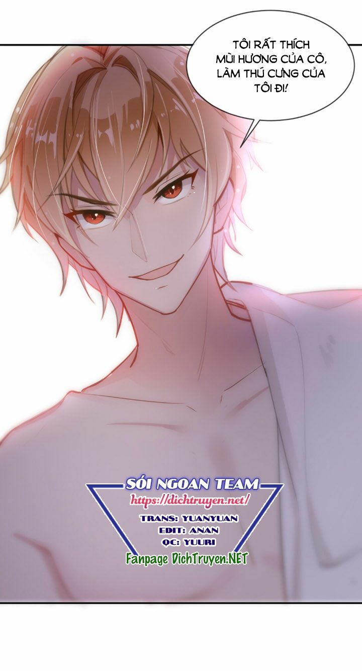 Em là bạc hà mèo của tôi: Chapter 3