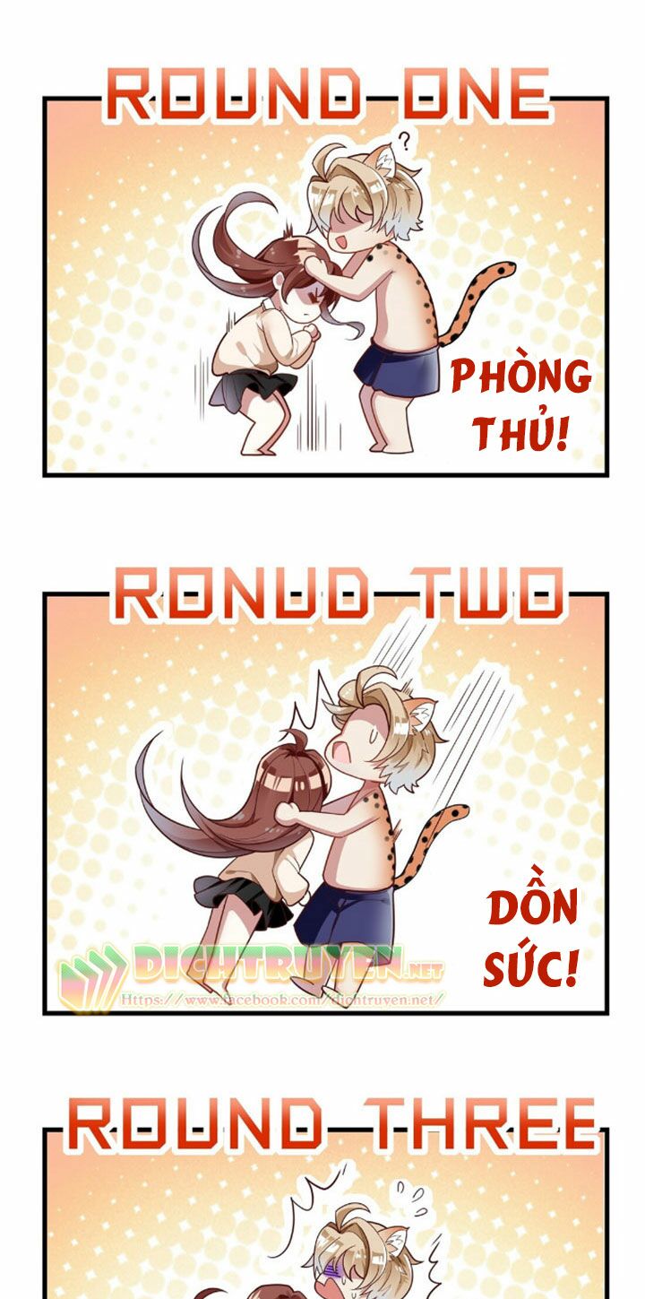 Em là bạc hà mèo của tôi: Chapter 3