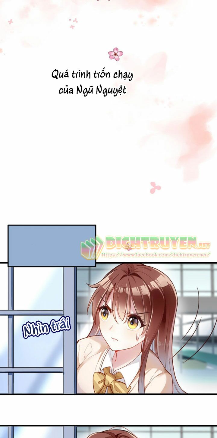 Em là bạc hà mèo của tôi: Chapter 3