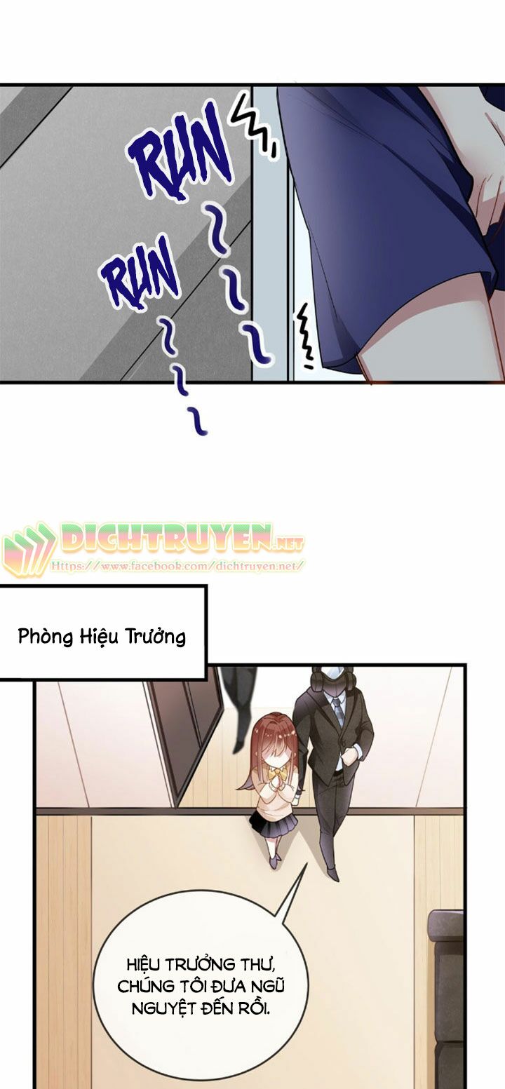 Em là bạc hà mèo của tôi: Chapter 3