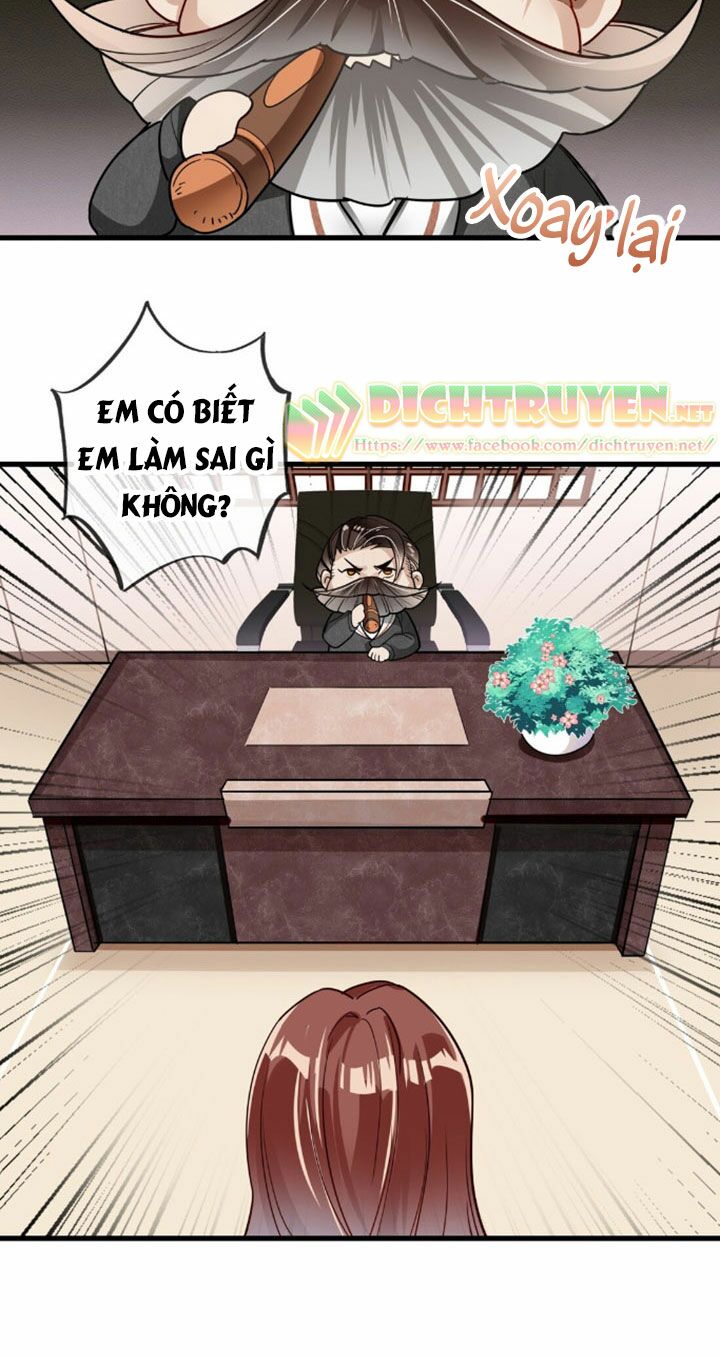 Em là bạc hà mèo của tôi: Chapter 3
