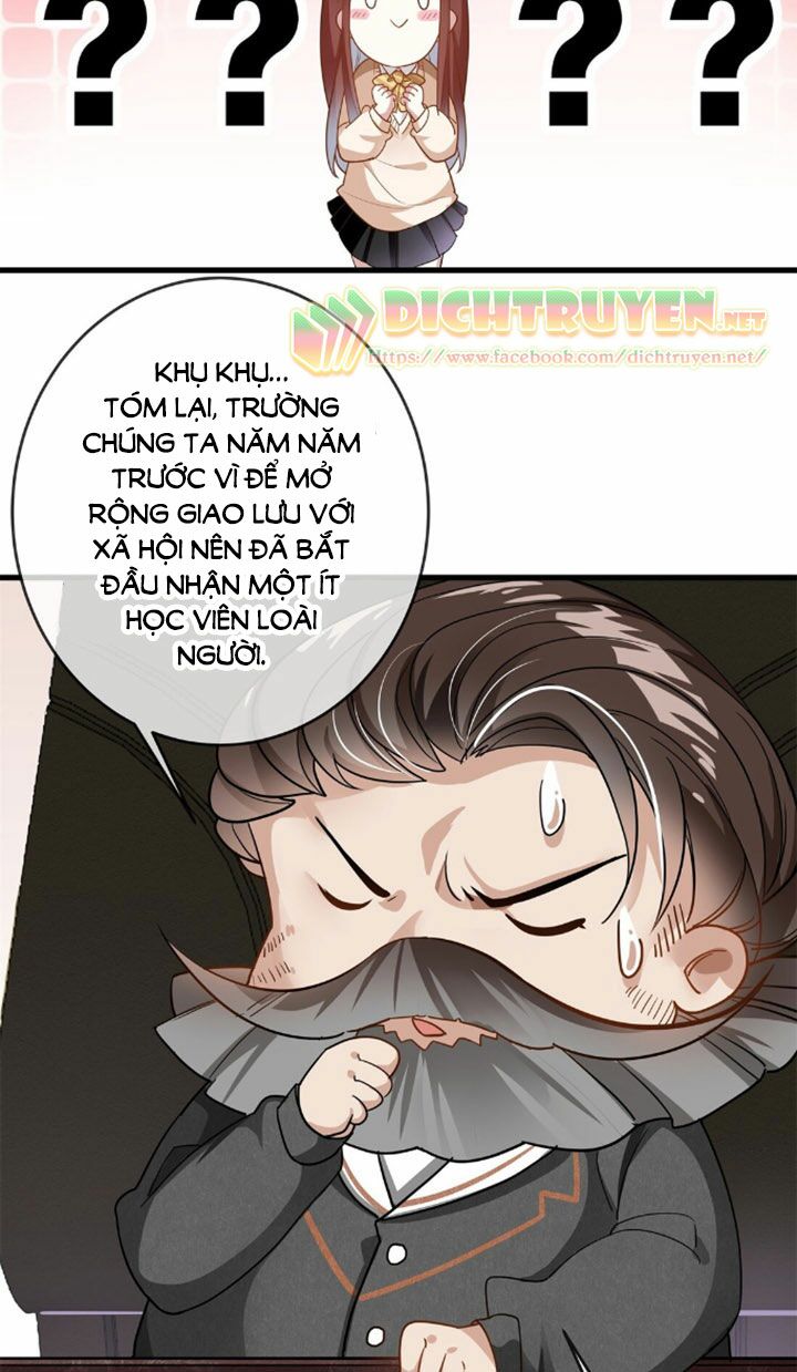 Em là bạc hà mèo của tôi: Chapter 3