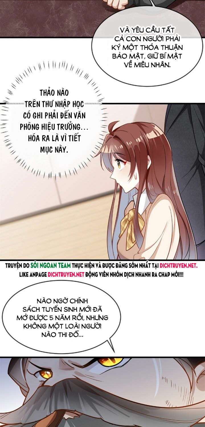 Em là bạc hà mèo của tôi: Chapter 3