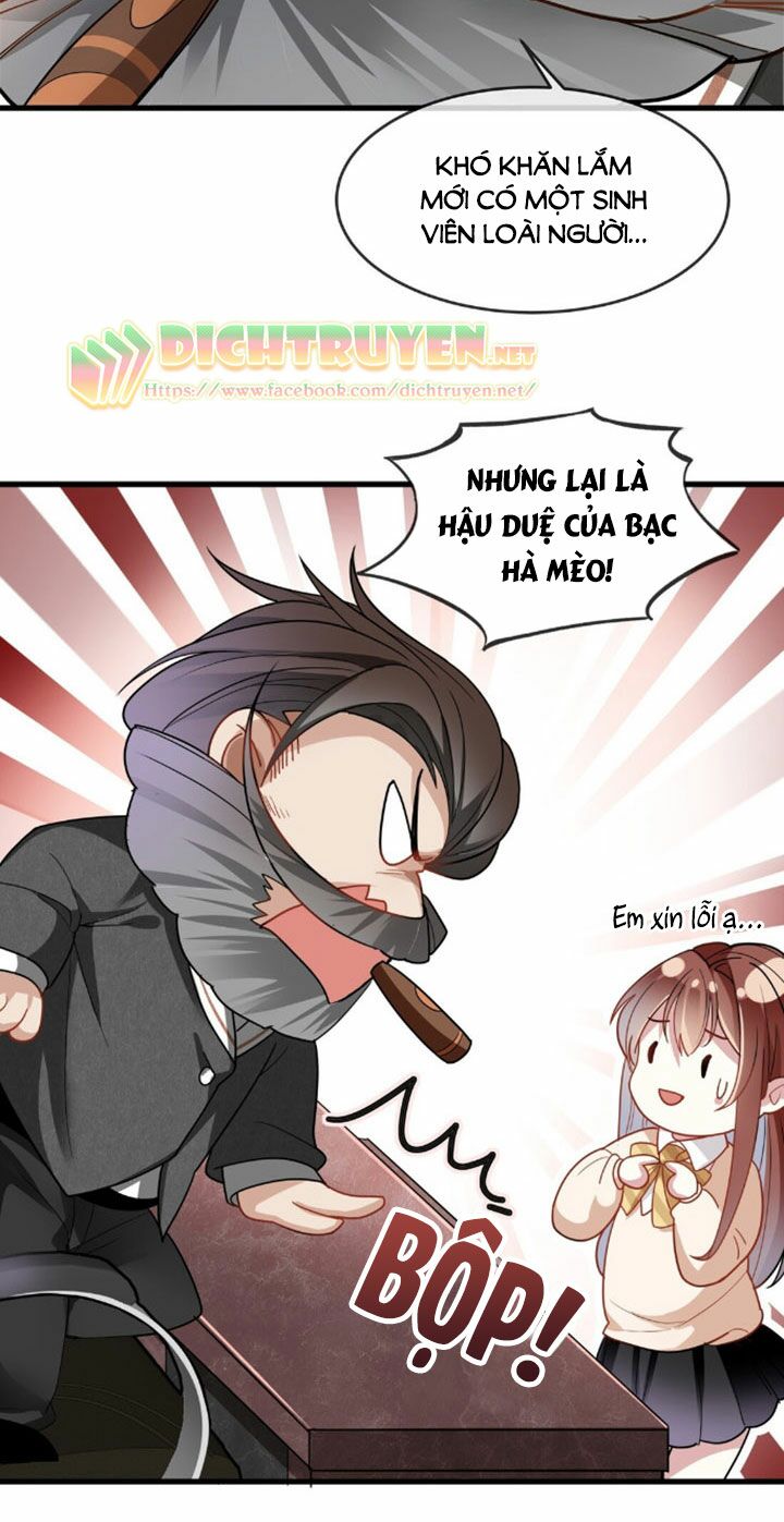 Em là bạc hà mèo của tôi: Chapter 3