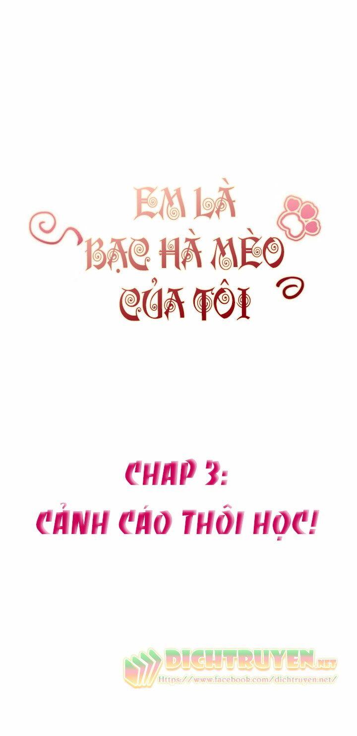 Em là bạc hà mèo của tôi: Chapter 3