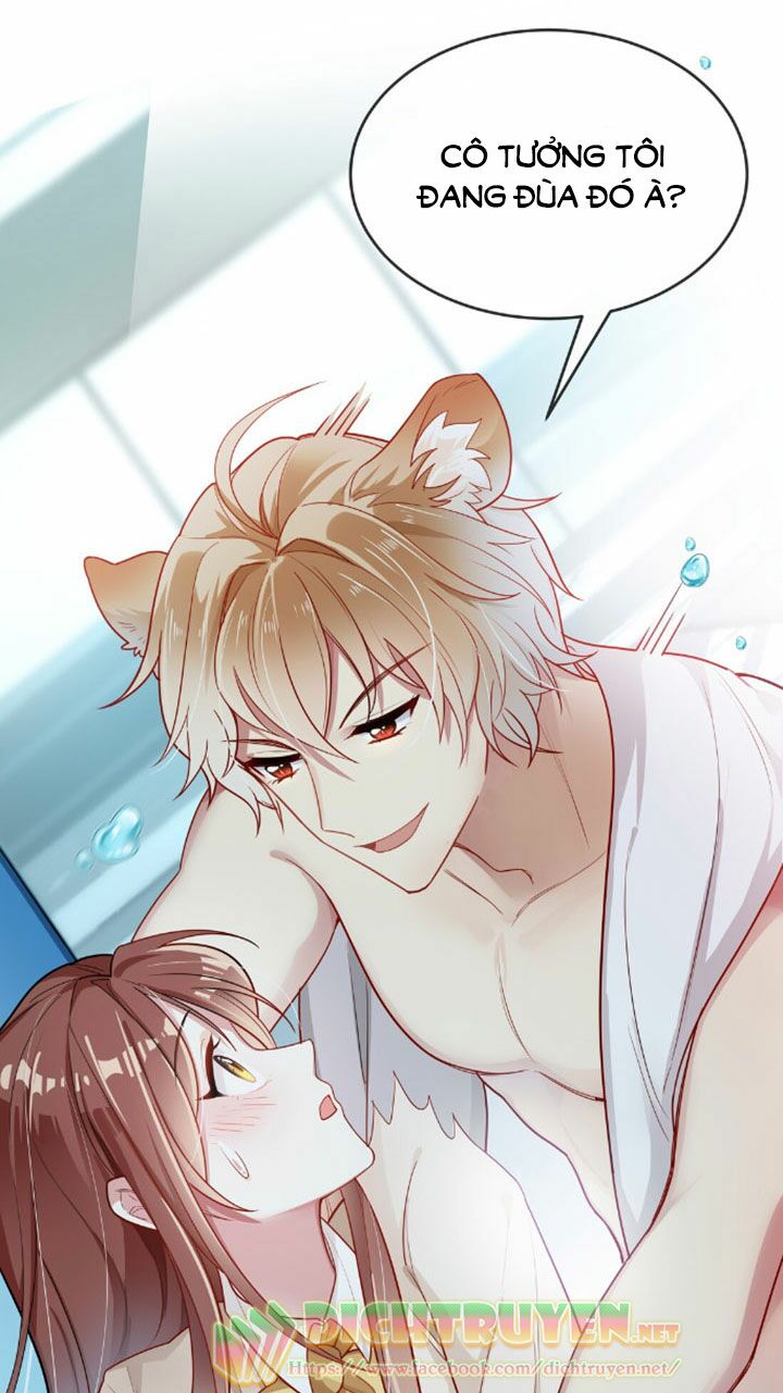 Em là bạc hà mèo của tôi: Chapter 3