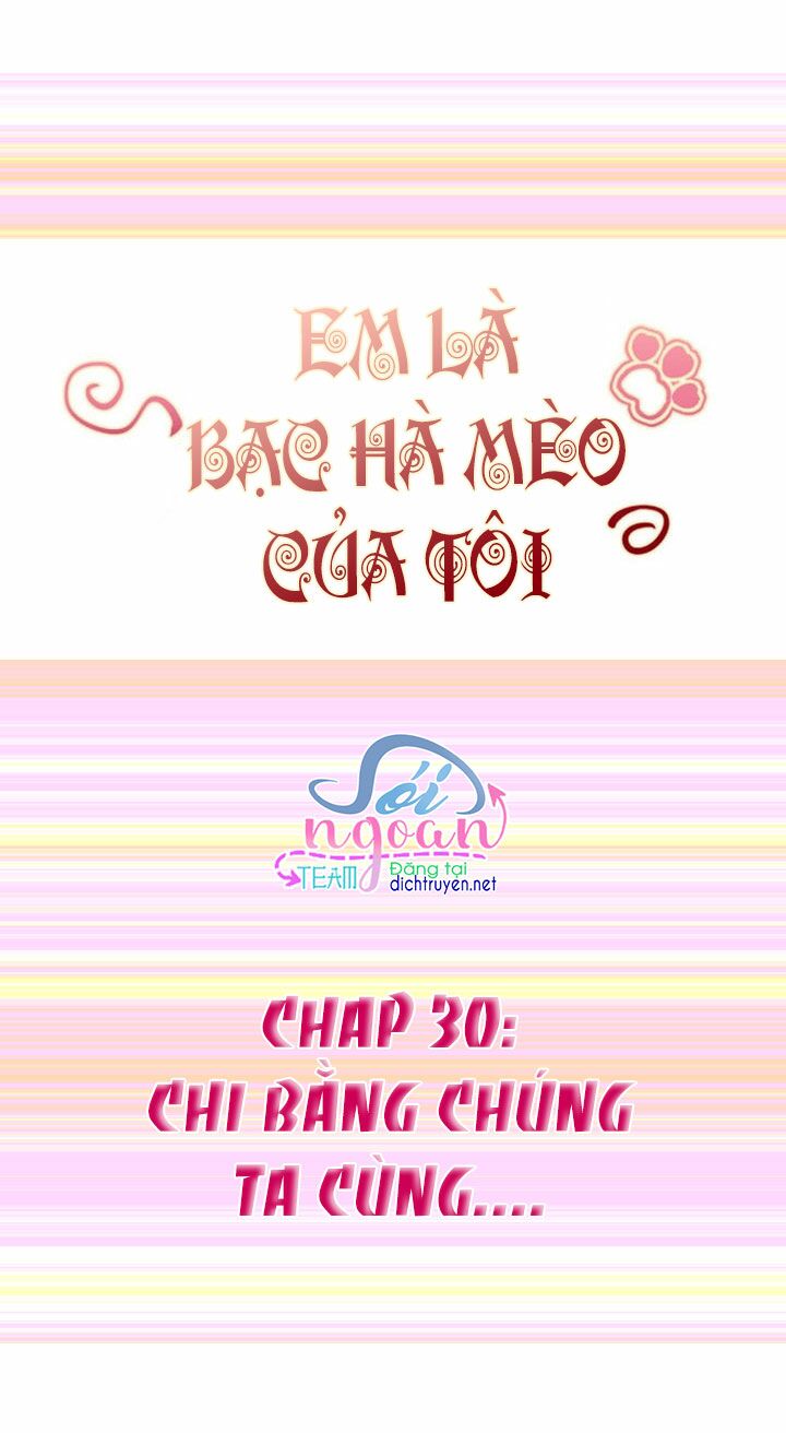 Em là bạc hà mèo của tôi: Chapter 30
