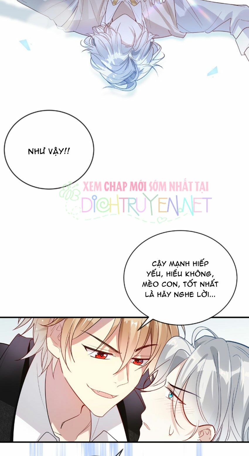 Em là bạc hà mèo của tôi: Chapter 30