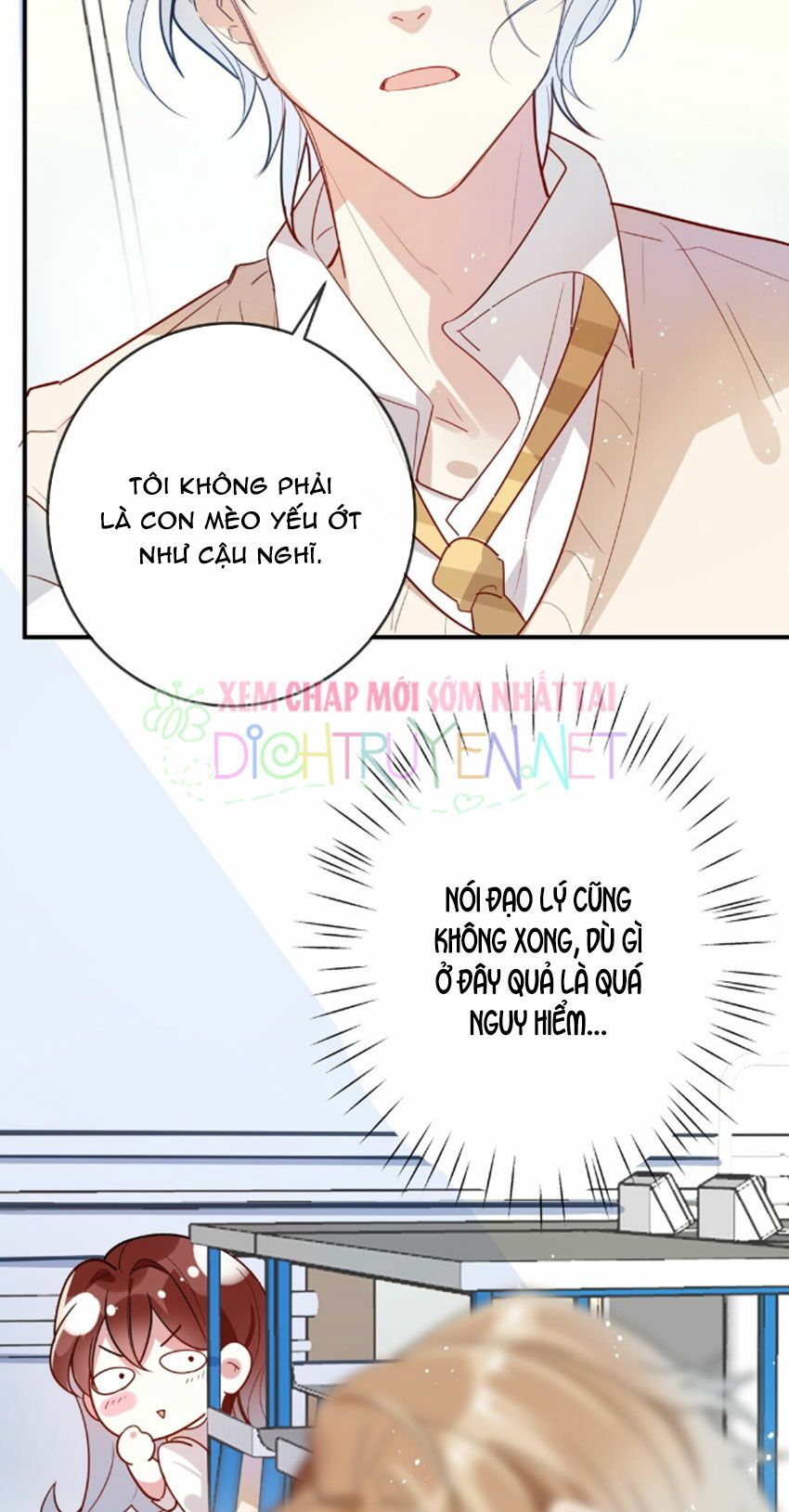 Em là bạc hà mèo của tôi: Chapter 30