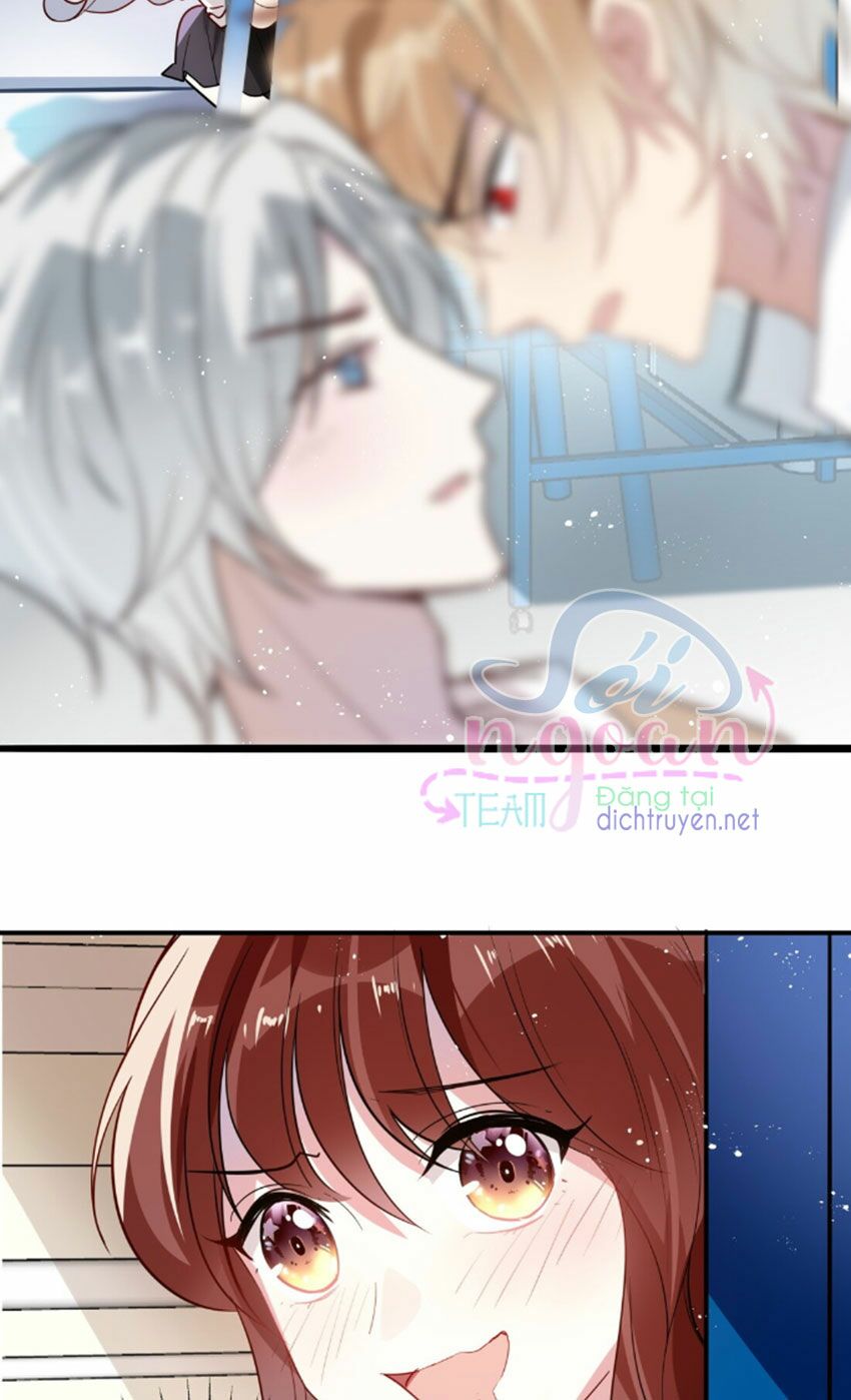 Em là bạc hà mèo của tôi: Chapter 30