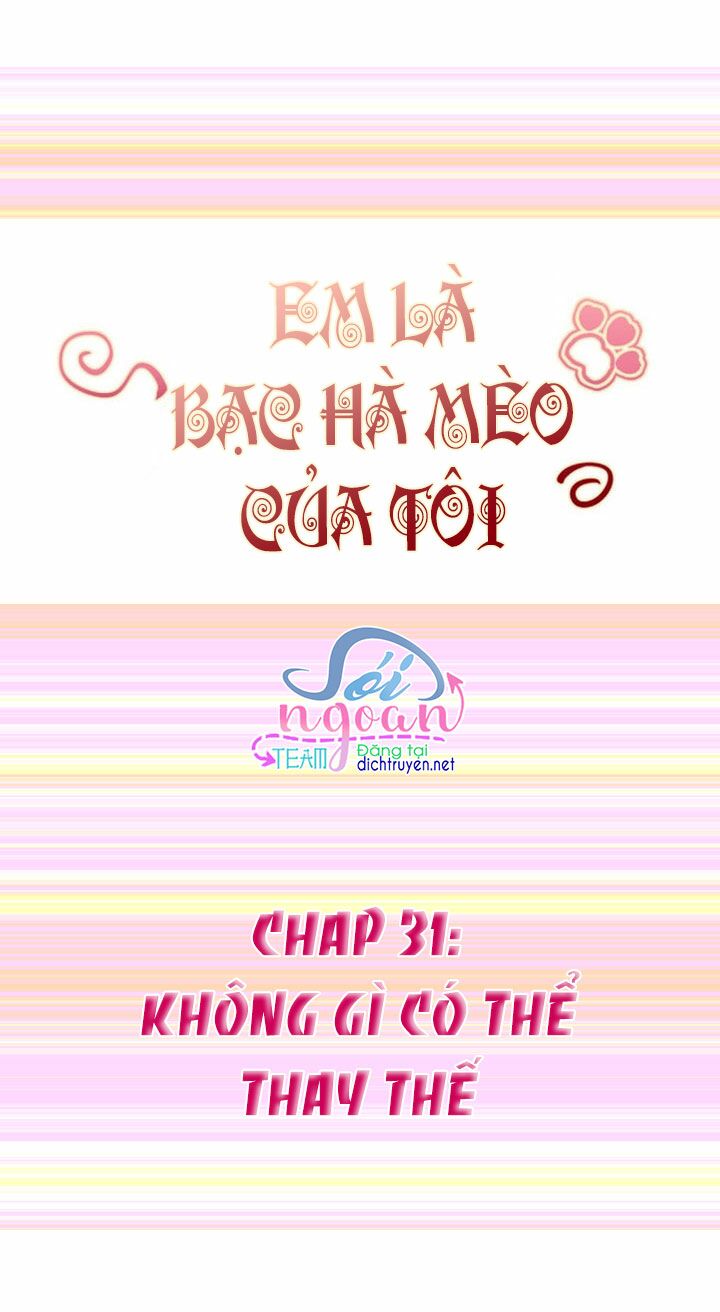 Em là bạc hà mèo của tôi: Chapter 31