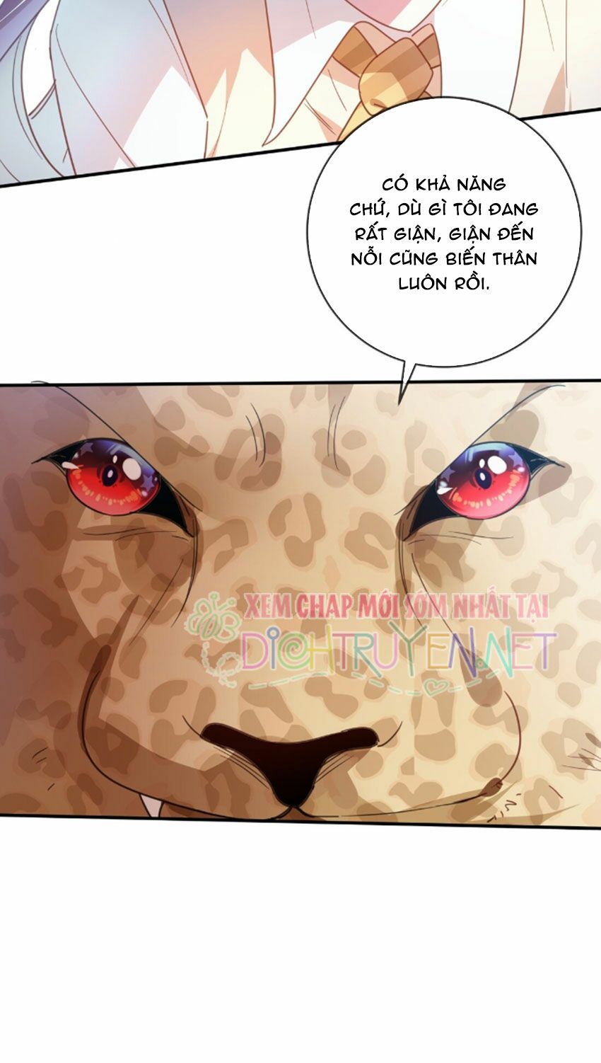 Em là bạc hà mèo của tôi: Chapter 31