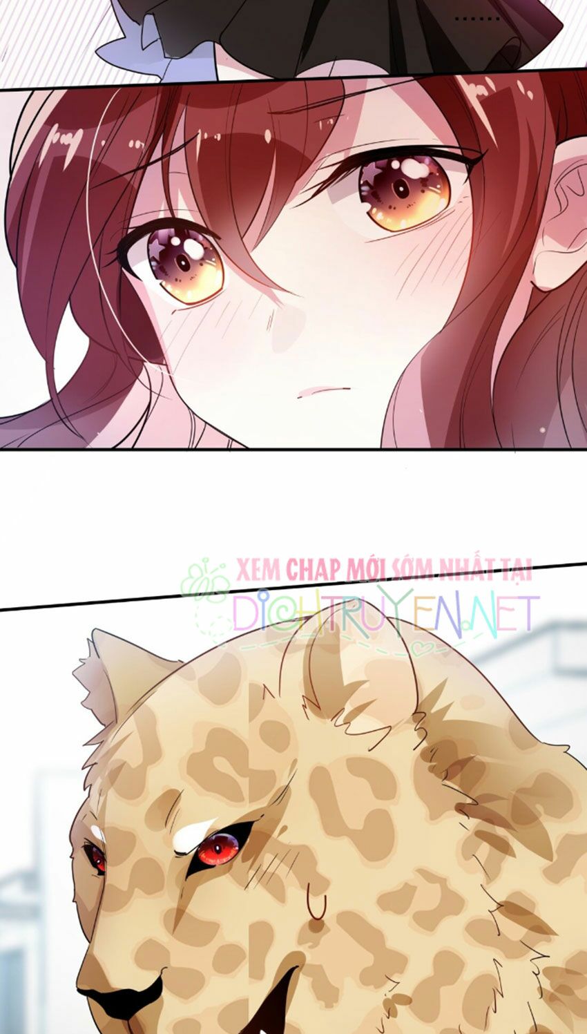 Em là bạc hà mèo của tôi: Chapter 31