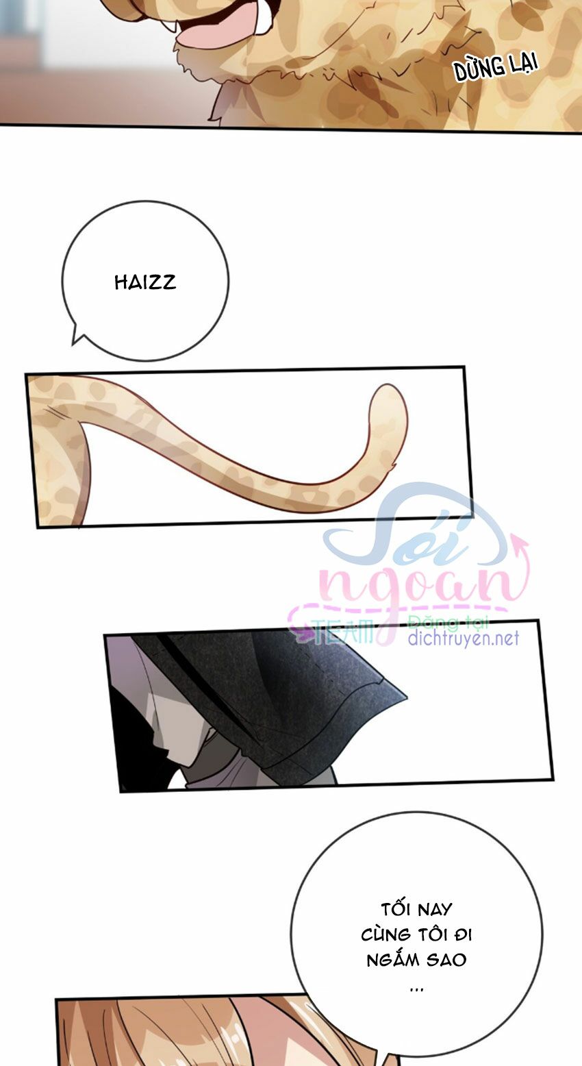 Em là bạc hà mèo của tôi: Chapter 31