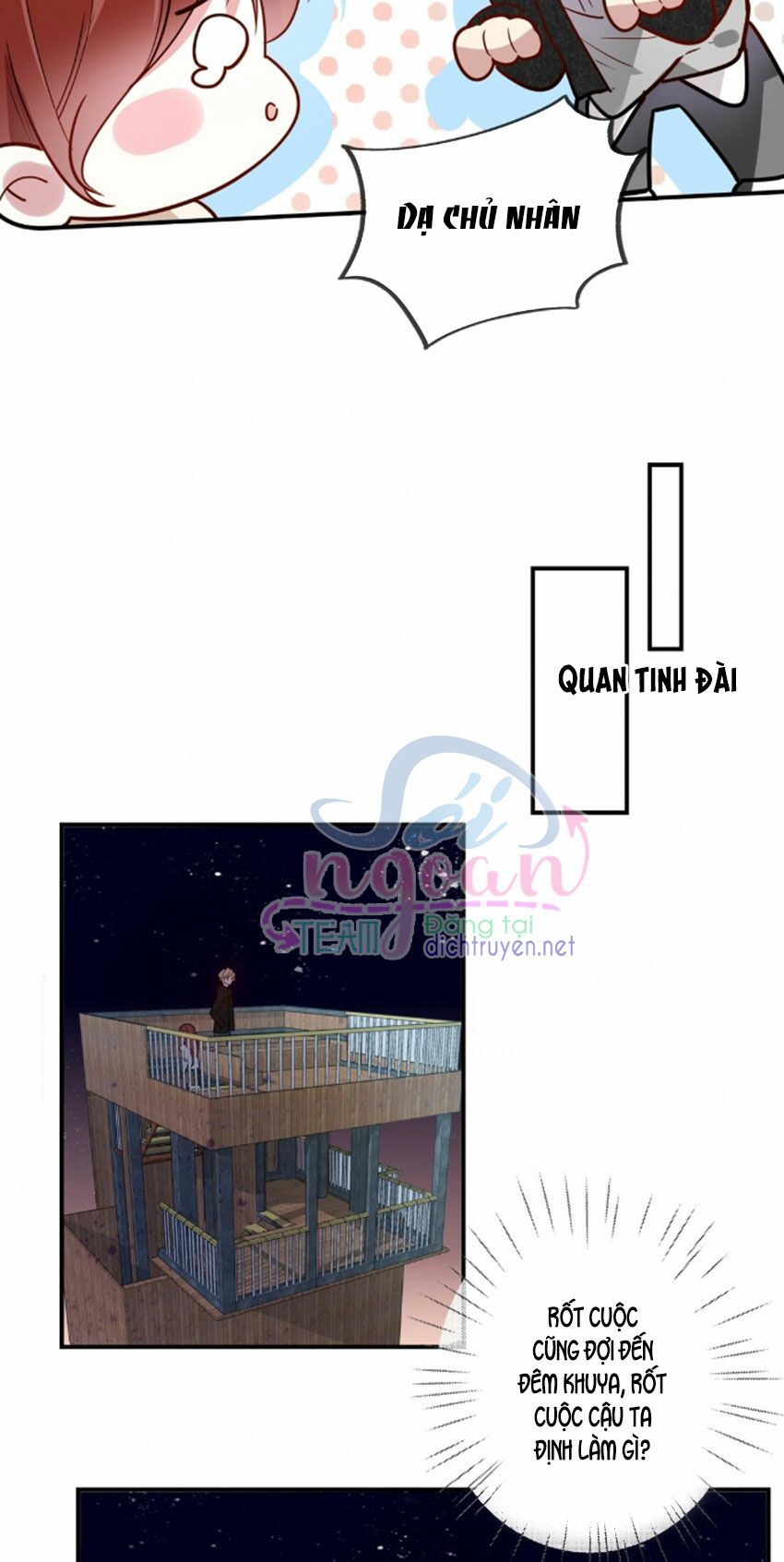 Em là bạc hà mèo của tôi: Chapter 31