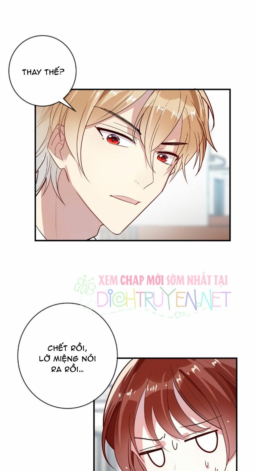 Em là bạc hà mèo của tôi: Chapter 31