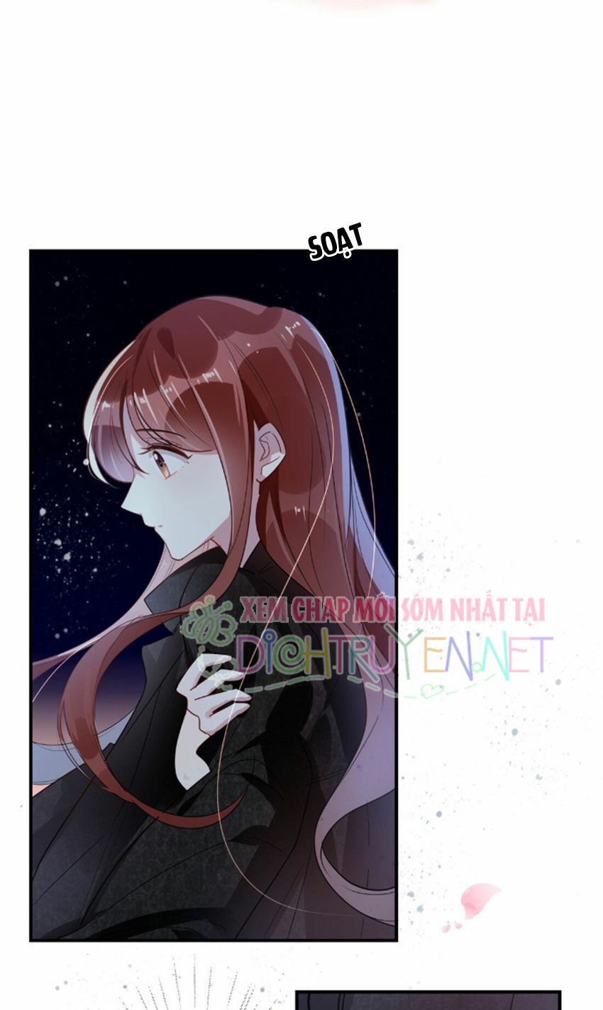 Em là bạc hà mèo của tôi: Chapter 31