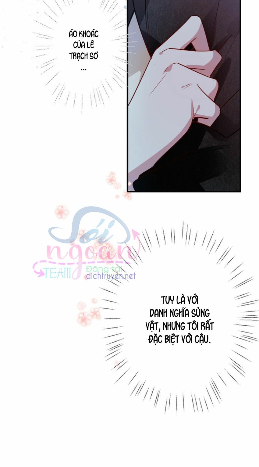 Em là bạc hà mèo của tôi: Chapter 31