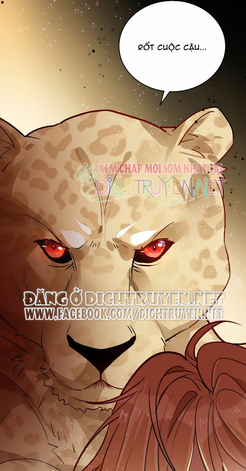 Em là bạc hà mèo của tôi: Chapter 31