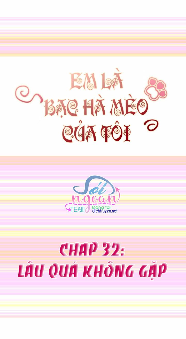 Em là bạc hà mèo của tôi: Chapter 32