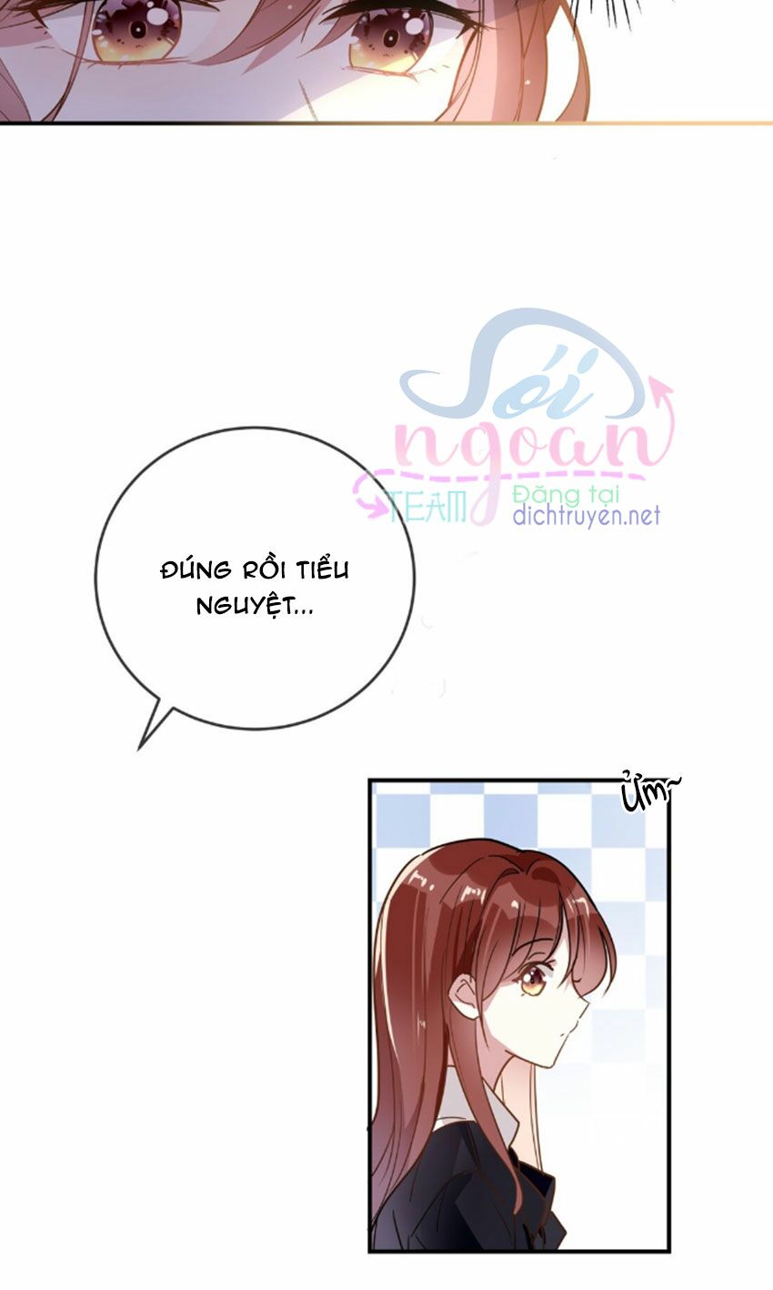 Em là bạc hà mèo của tôi: Chapter 32