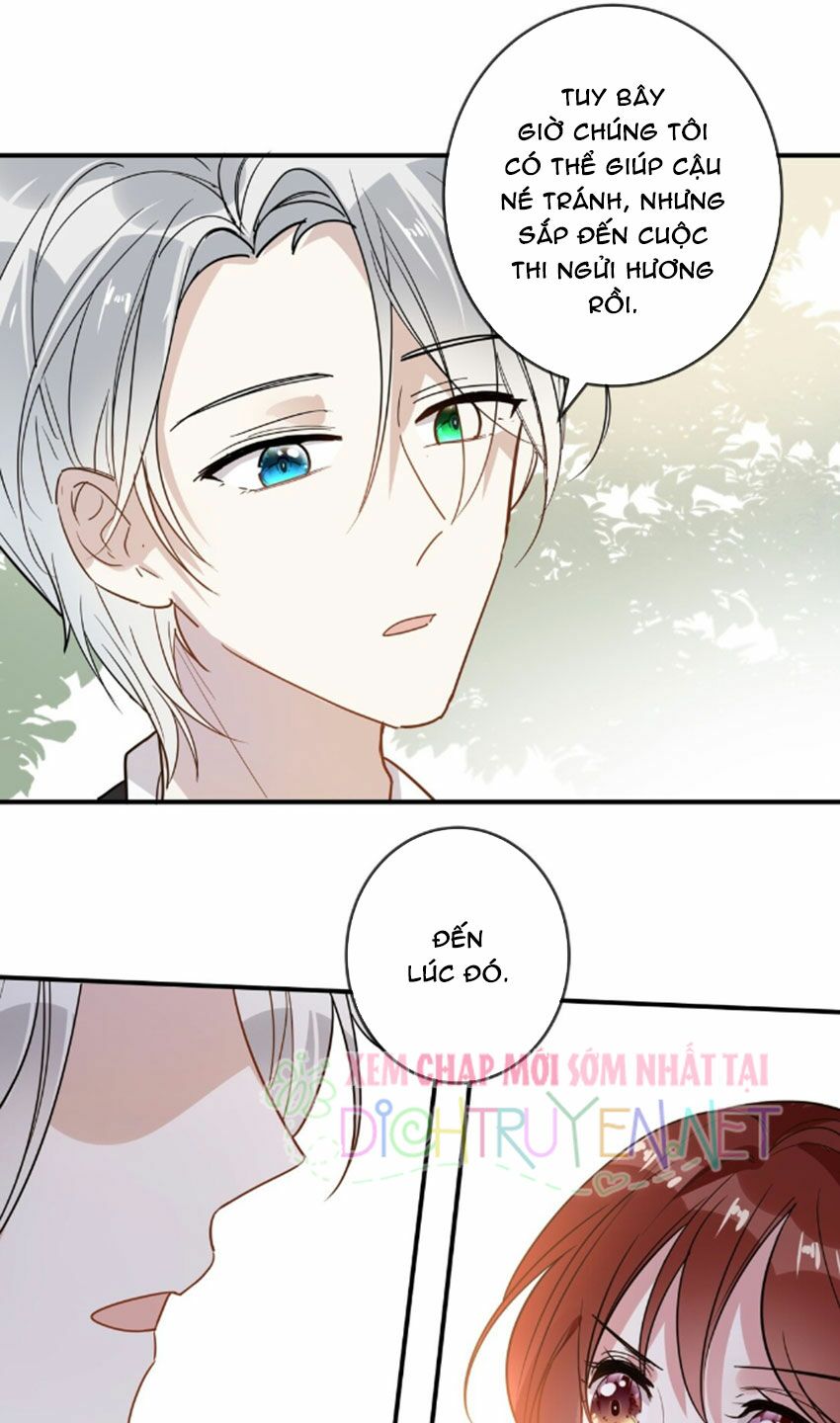 Em là bạc hà mèo của tôi: Chapter 32