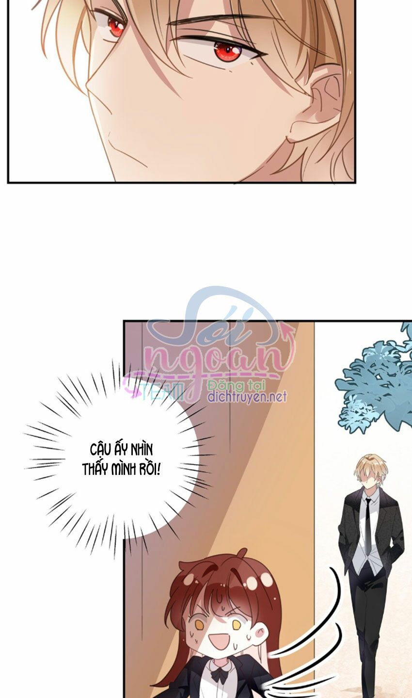 Em là bạc hà mèo của tôi: Chapter 32