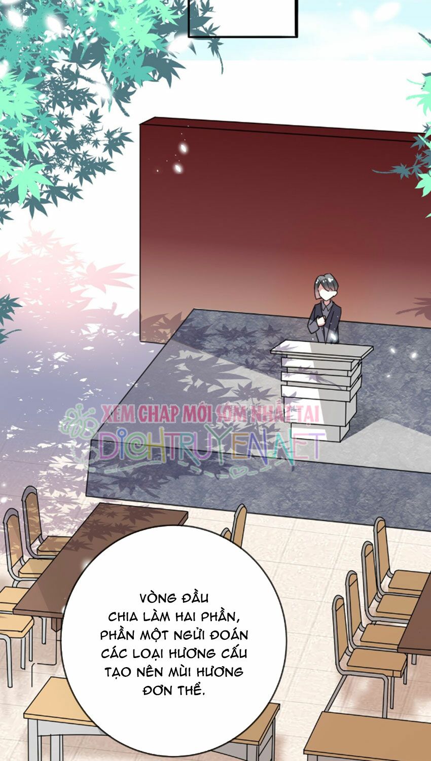 Em là bạc hà mèo của tôi: Chapter 33