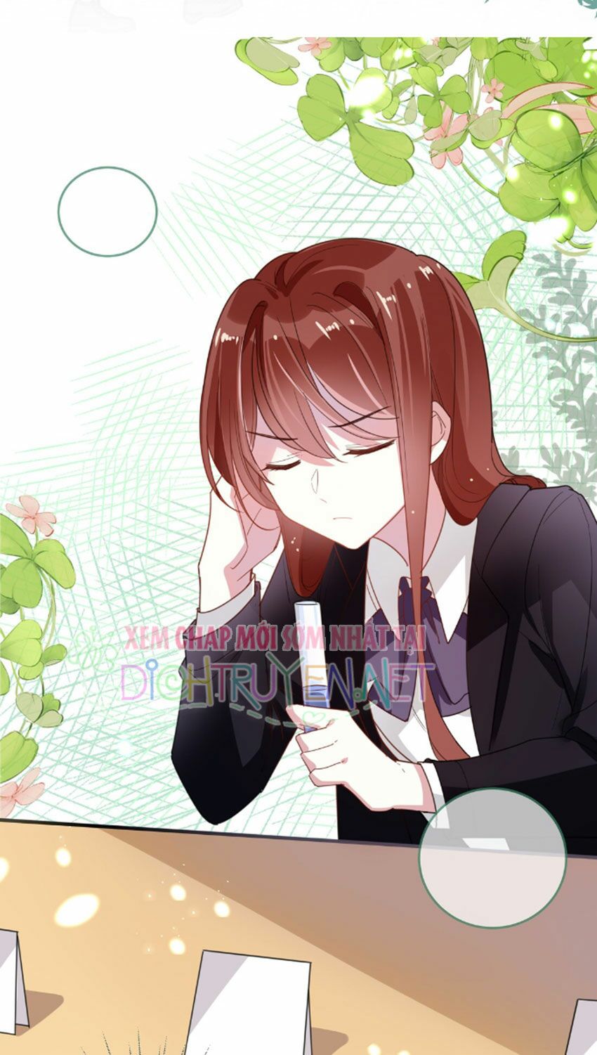 Em là bạc hà mèo của tôi: Chapter 33