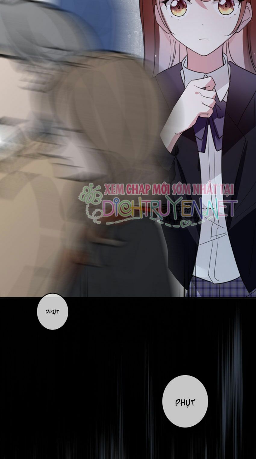 Em là bạc hà mèo của tôi: Chapter 33