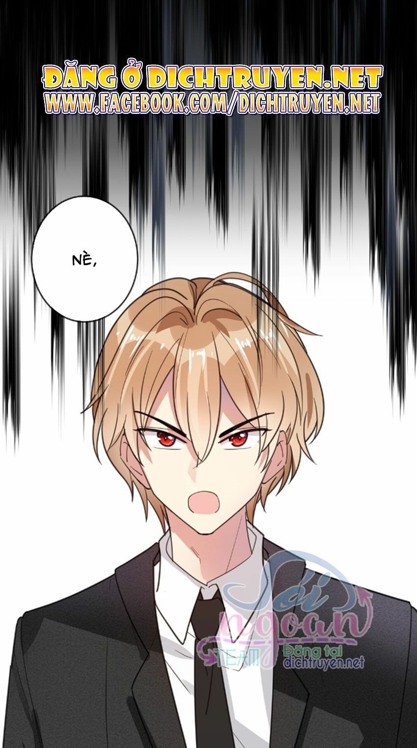 Em là bạc hà mèo của tôi: Chapter 33