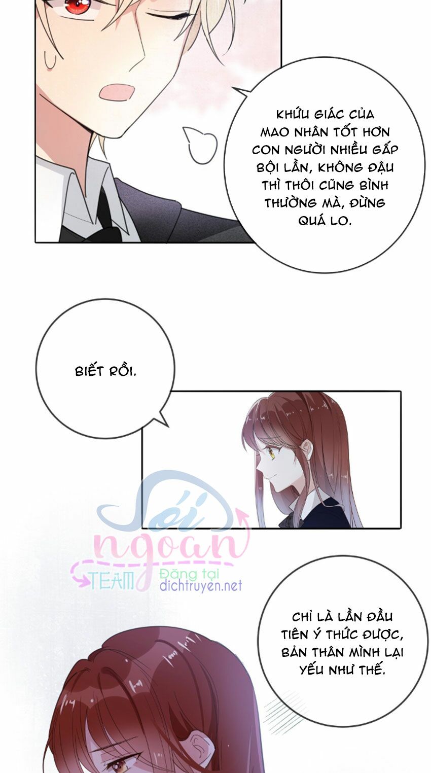 Em là bạc hà mèo của tôi: Chapter 33