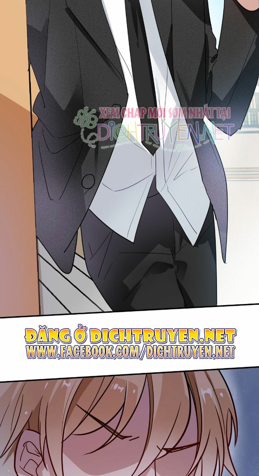 Em là bạc hà mèo của tôi: Chapter 33
