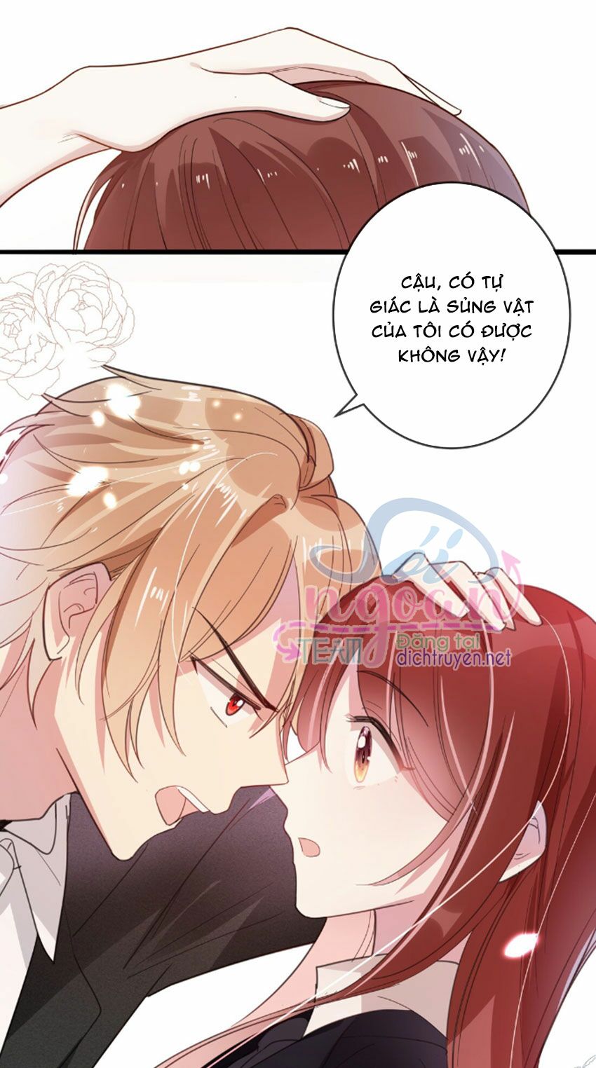 Em là bạc hà mèo của tôi: Chapter 33