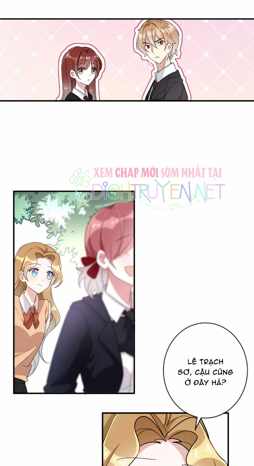 Em là bạc hà mèo của tôi: Chapter 33
