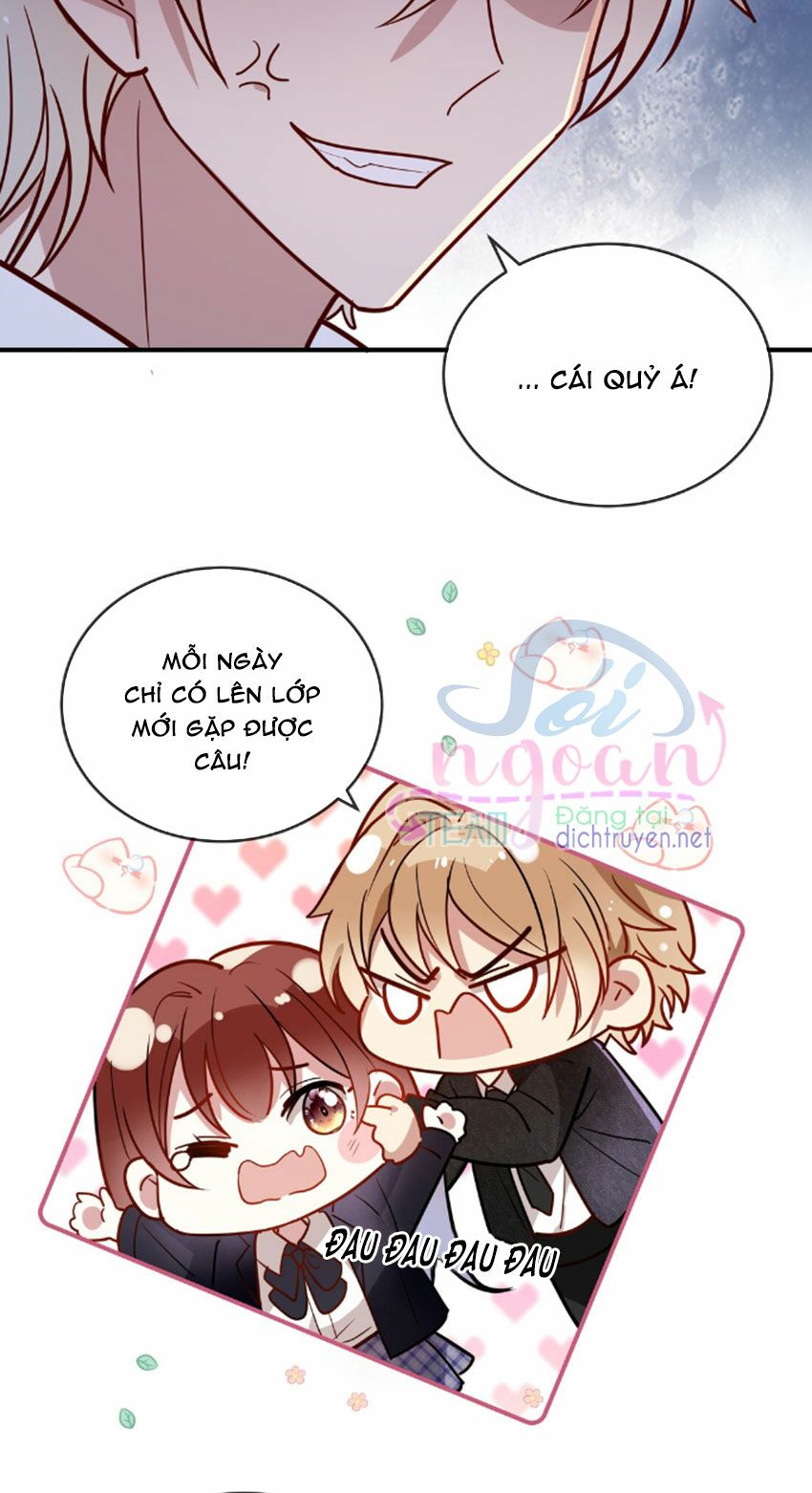 Em là bạc hà mèo của tôi: Chapter 33