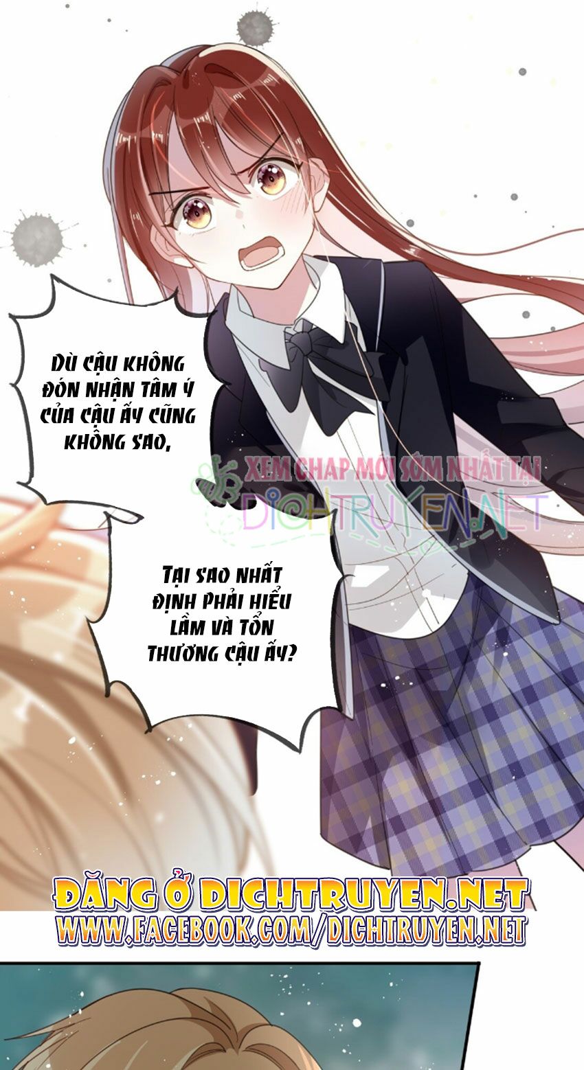 Em là bạc hà mèo của tôi: Chapter 34
