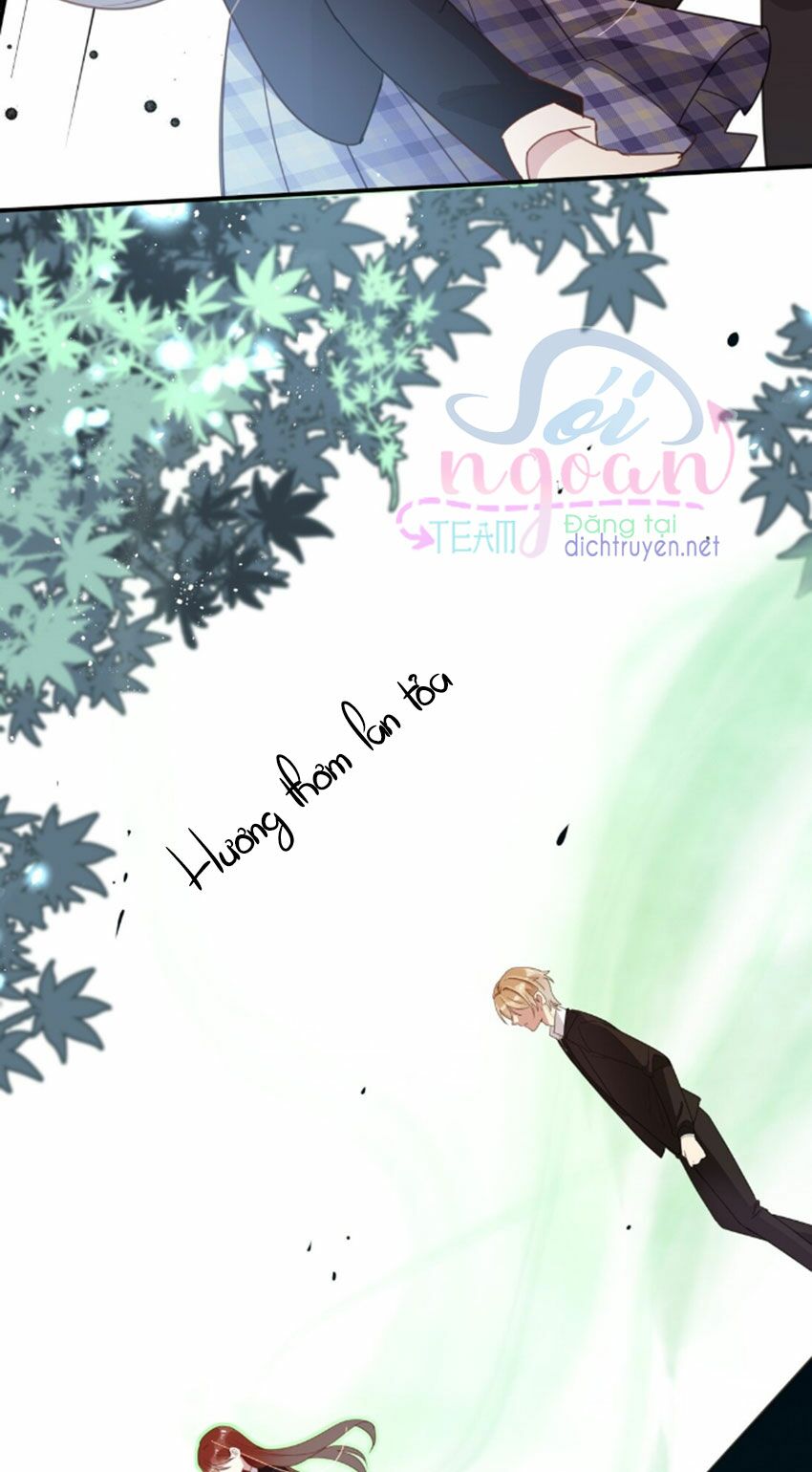 Em là bạc hà mèo của tôi: Chapter 34