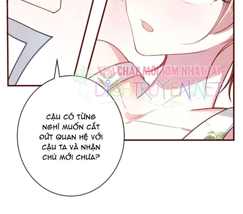 Em là bạc hà mèo của tôi: Chapter 36
