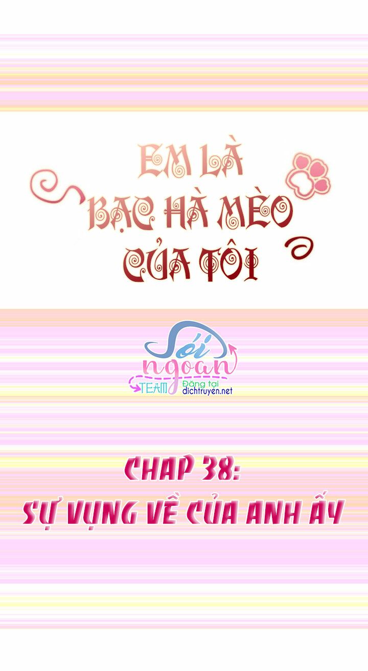 Em là bạc hà mèo của tôi: Chapter 38