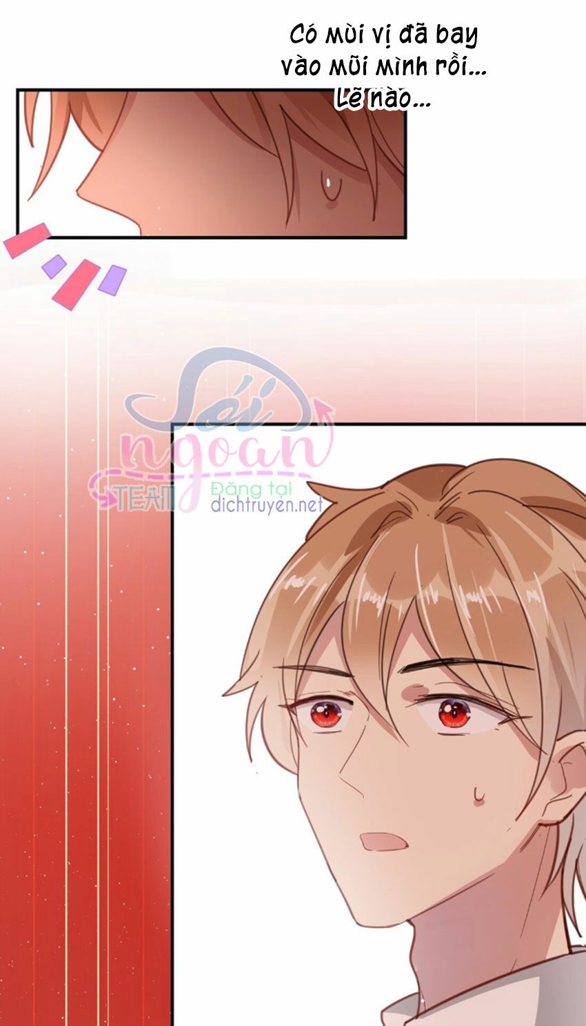 Em là bạc hà mèo của tôi: Chapter 38